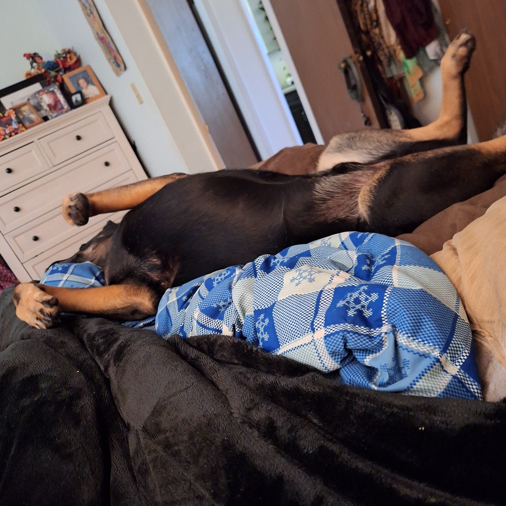 Aaww! How Cute Is He?!?!?! - Picture 2 of 4